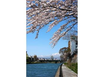 フォトコンテストご応募写真